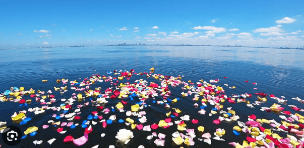 海に撒かれたたくさんの花と青い海