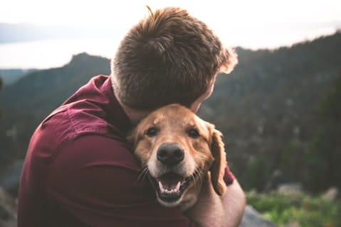 男性に抱きしめられる犬